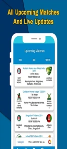 Real-time cricket match statistics