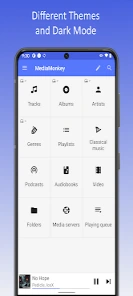 MediaMonkey music library management