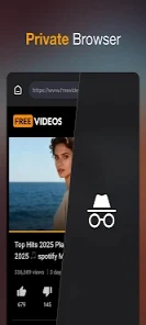 playlist video download option